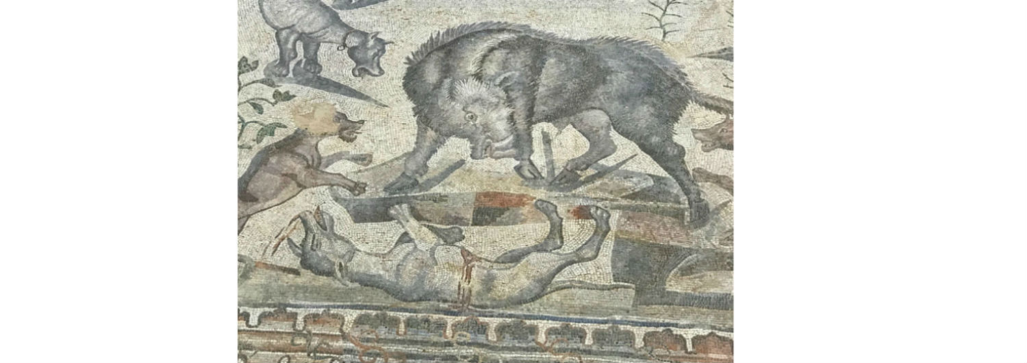 A Roman villa’s mosaic--picture was taken in the Palencia province
